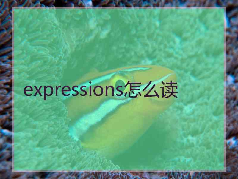 expressions怎么读