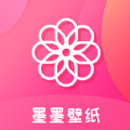 爱加速app下载软件