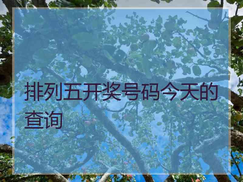 排列五开奖号码今天的查询