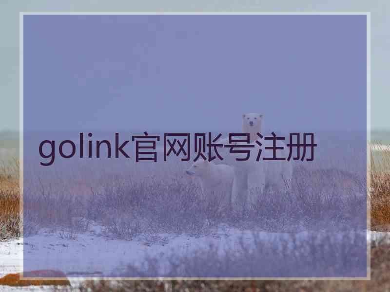 golink官网账号注册