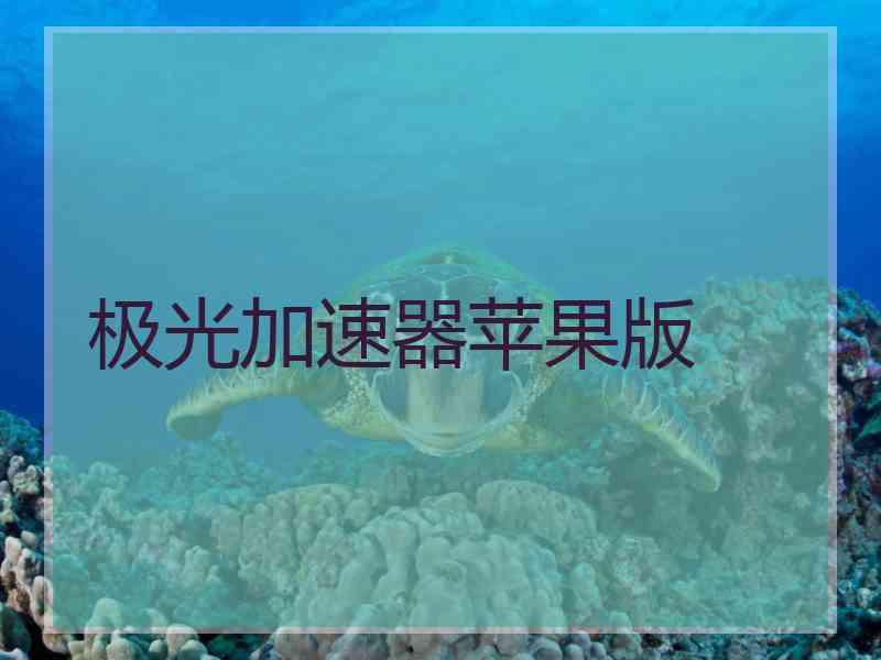 极光加速器苹果版