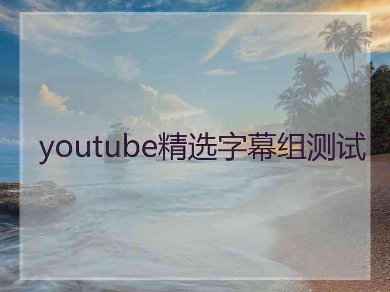 youtube精选字幕组测试