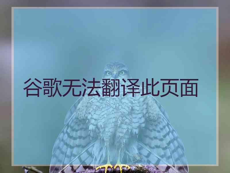 谷歌无法翻译此页面