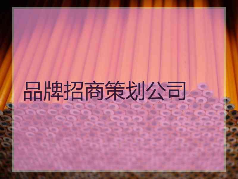 品牌招商策划公司