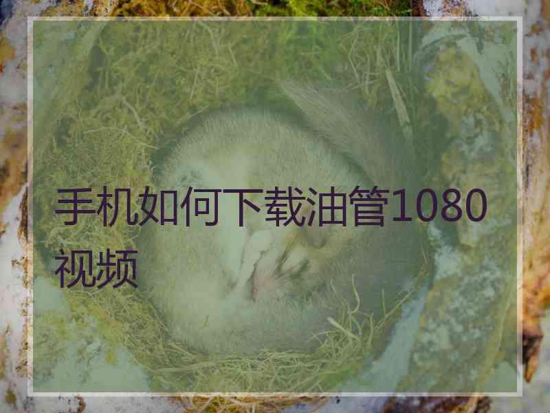 手机如何下载油管1080视频