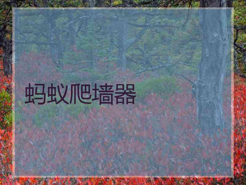 蚂蚁爬墙器