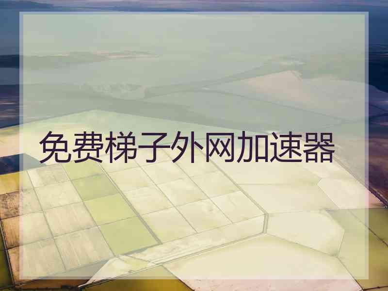 免费梯子外网加速器