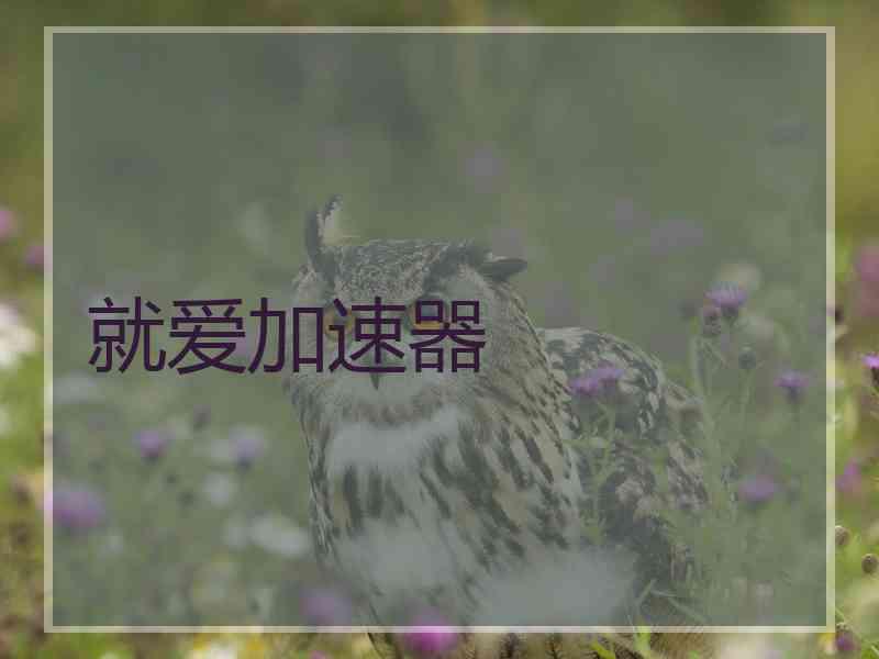 就爱加速器
