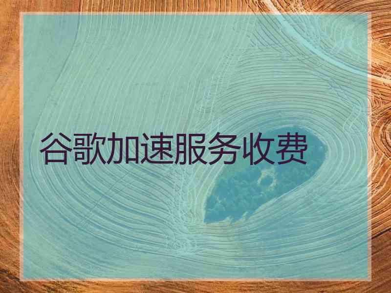 谷歌加速服务收费