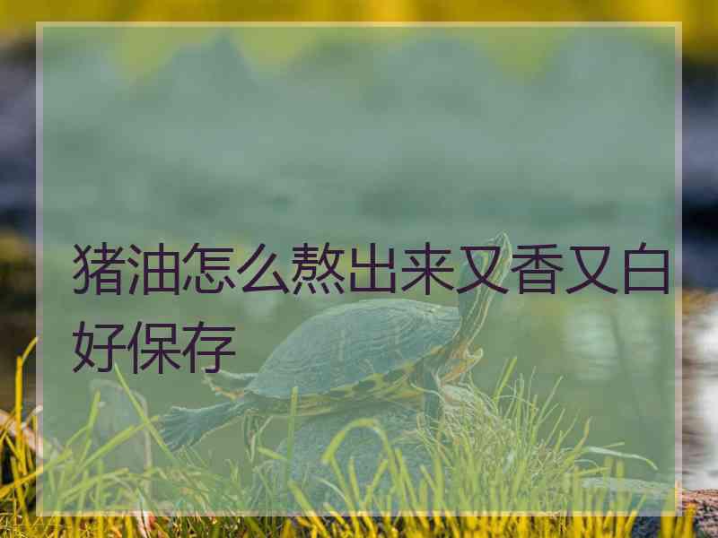 猪油怎么熬出来又香又白好保存