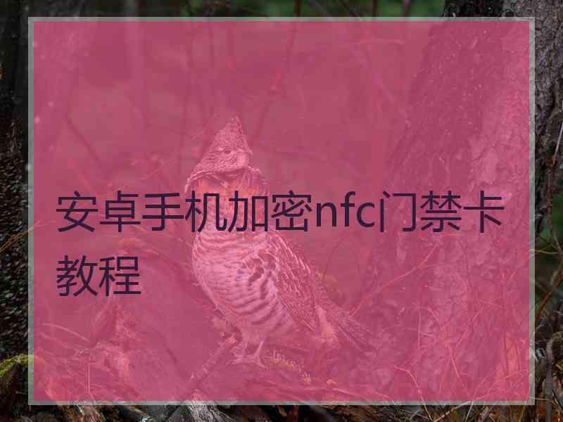 安卓手机加密nfc门禁卡教程