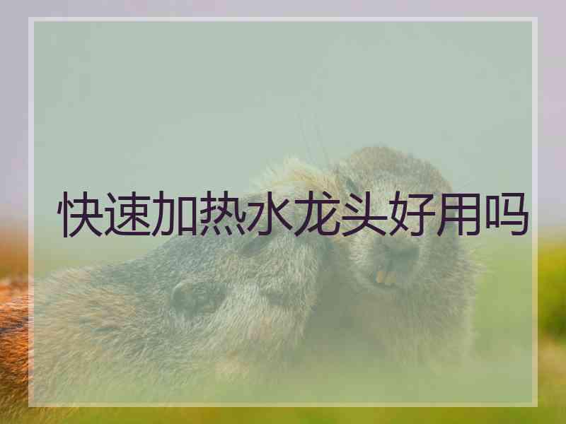 快速加热水龙头好用吗