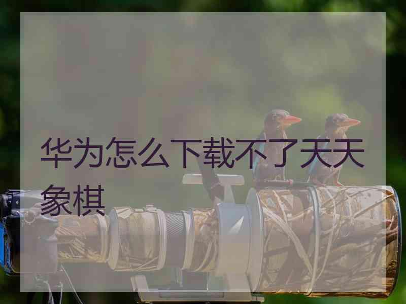 华为怎么下载不了天天象棋