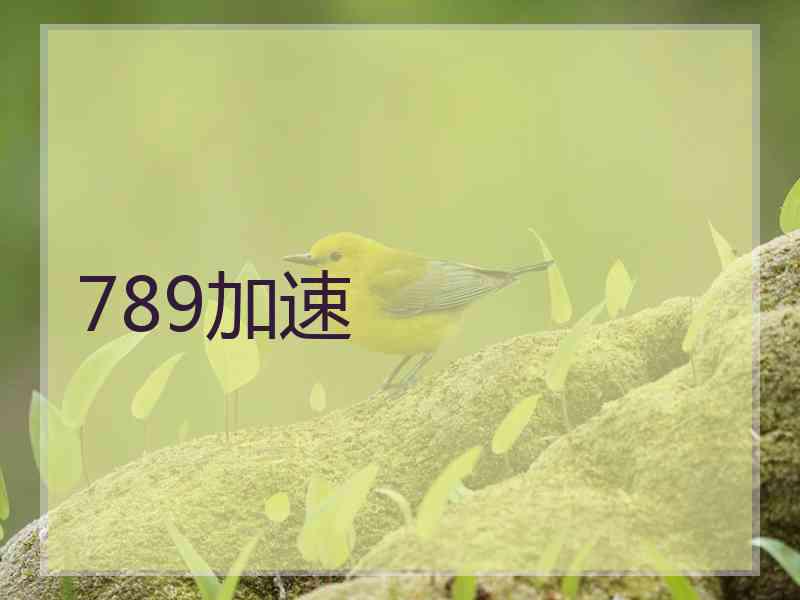 789加速