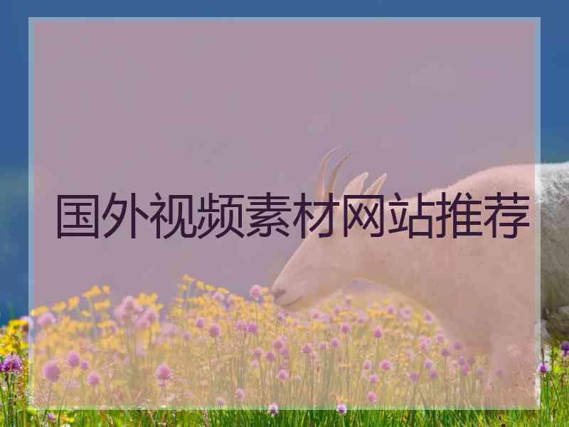 国外视频素材网站推荐