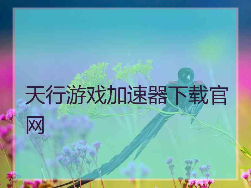 天行游戏加速器下载官网