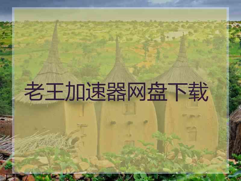 老王加速器网盘下载