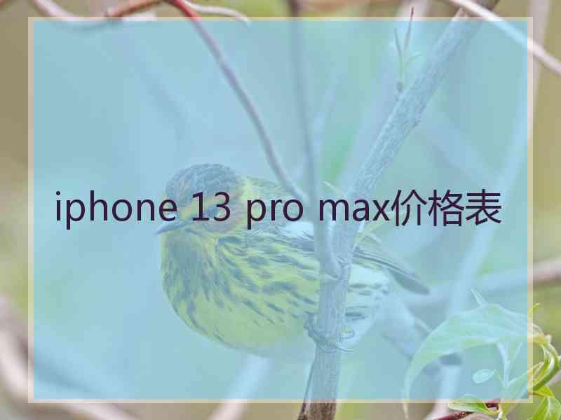 iphone 13 pro max价格表