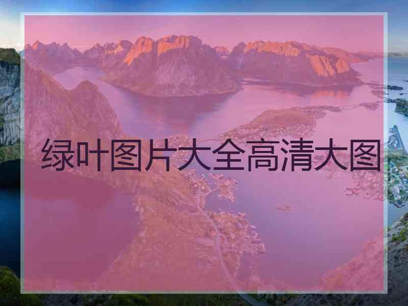 绿叶图片大全高清大图