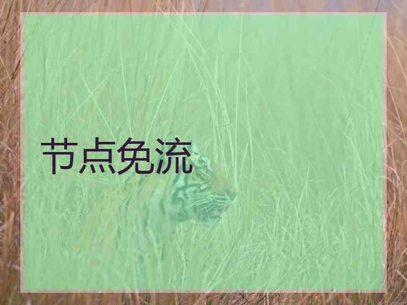 节点免流
