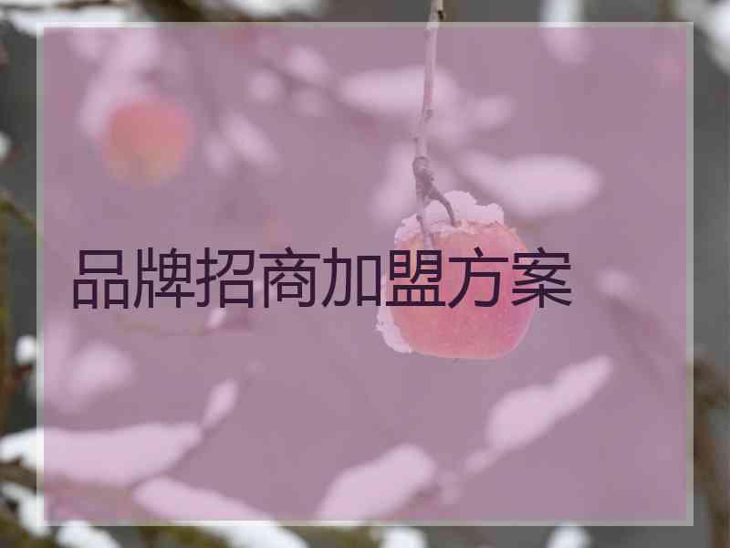 品牌招商加盟方案