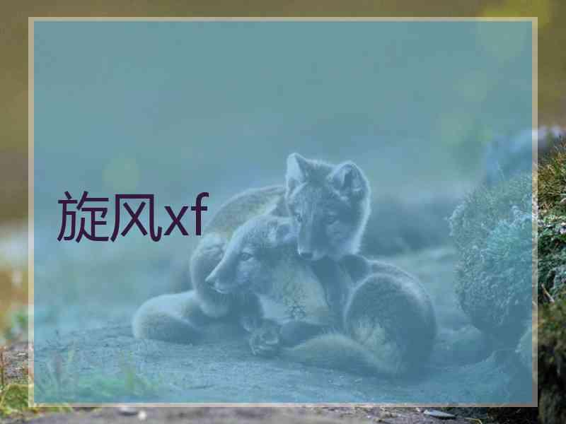 旋风xf