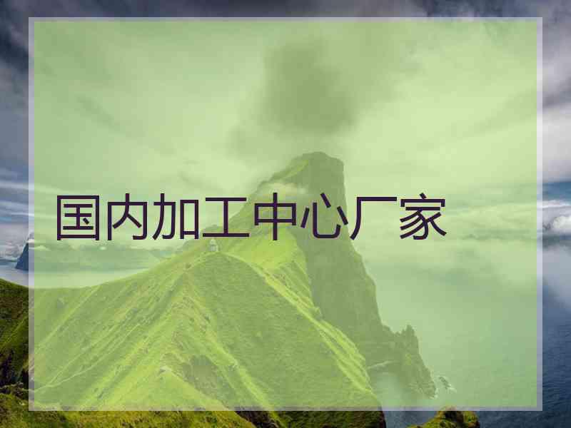国内加工中心厂家
