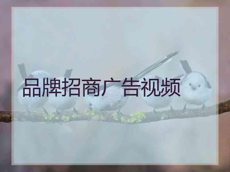 品牌招商广告视频