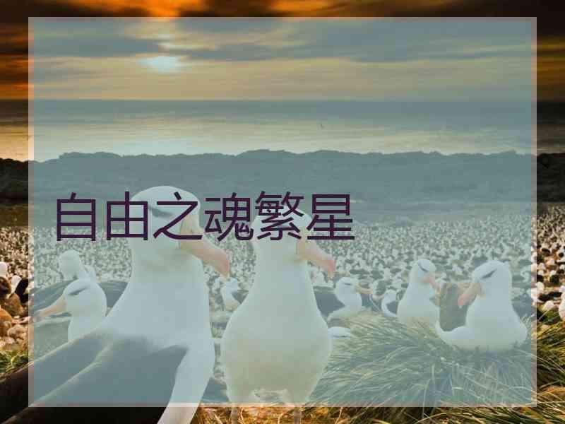 自由之魂繁星