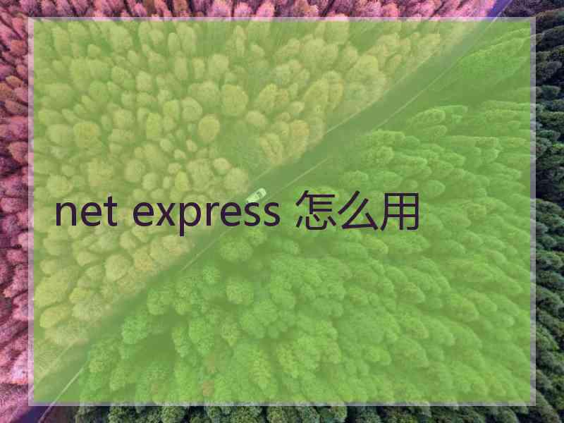 net express 怎么用