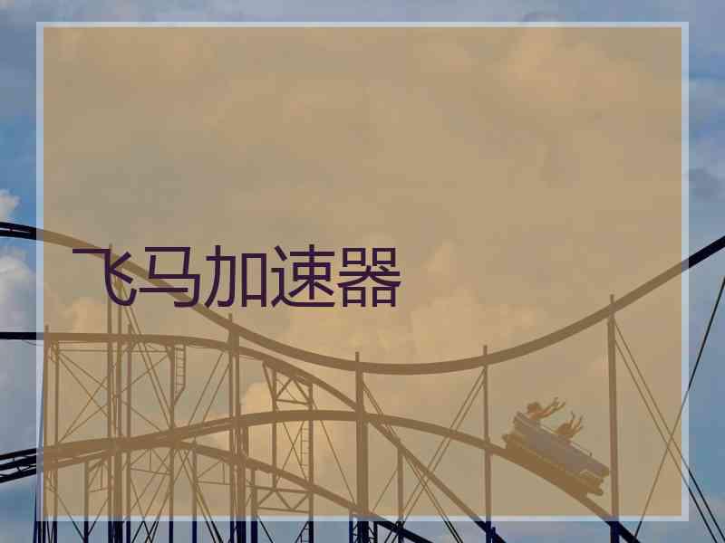 飞马加速器