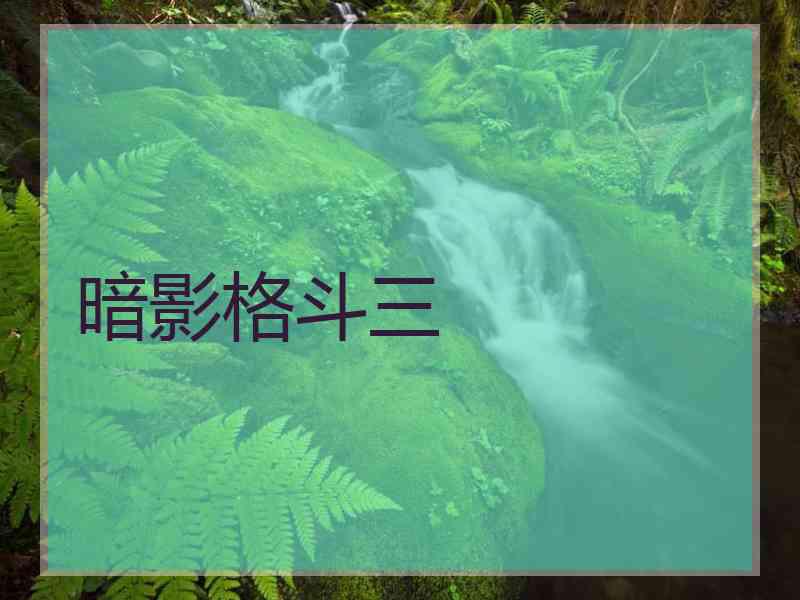 暗影格斗三