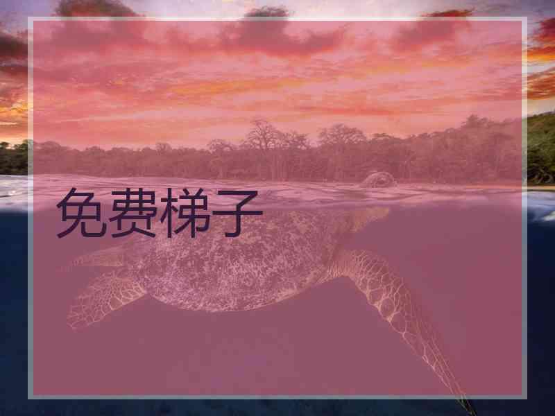 免费梯子