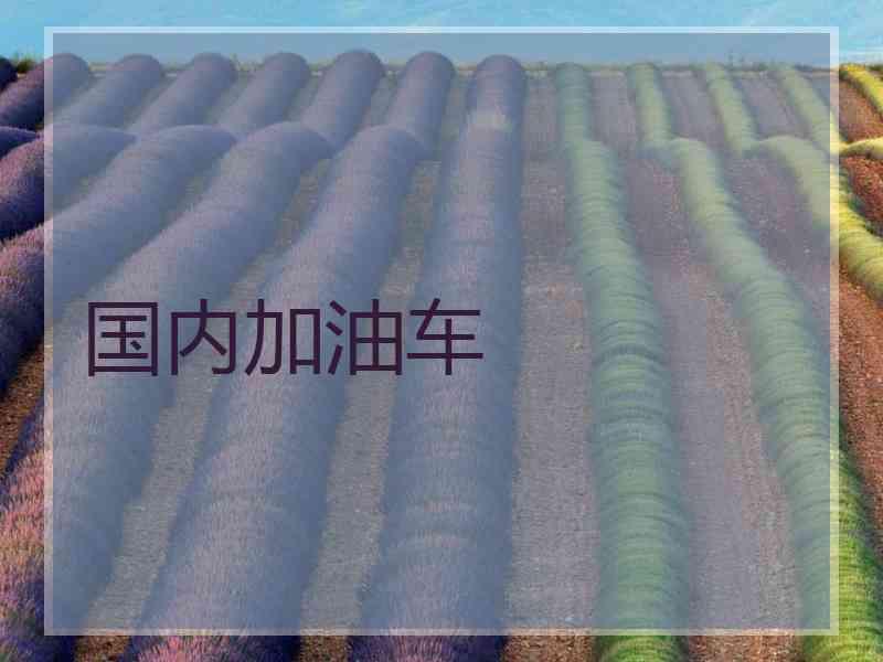国内加油车