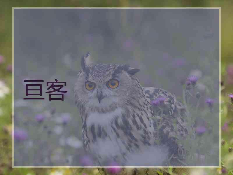 亘客