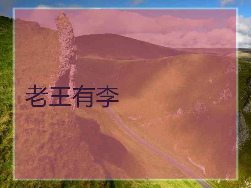 老王有李