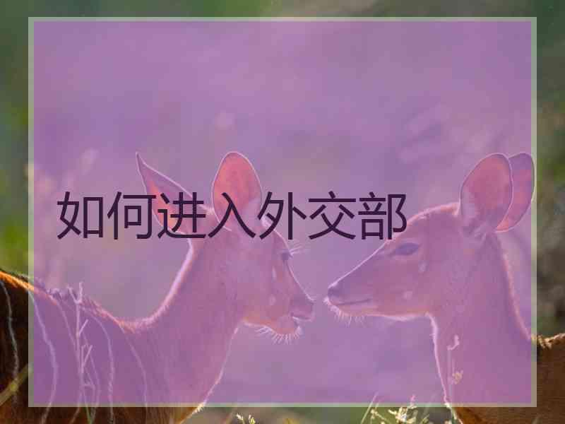 如何进入外交部