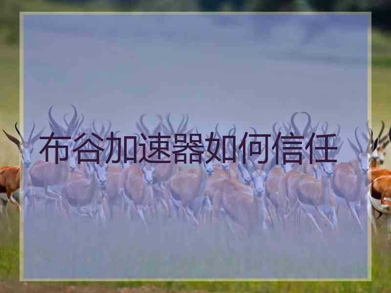 布谷加速器如何信任