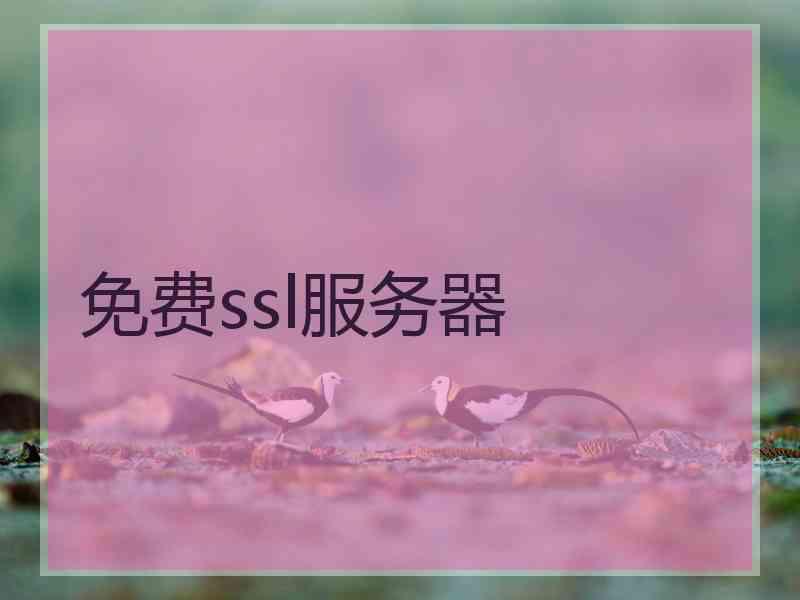 免费ssl服务器