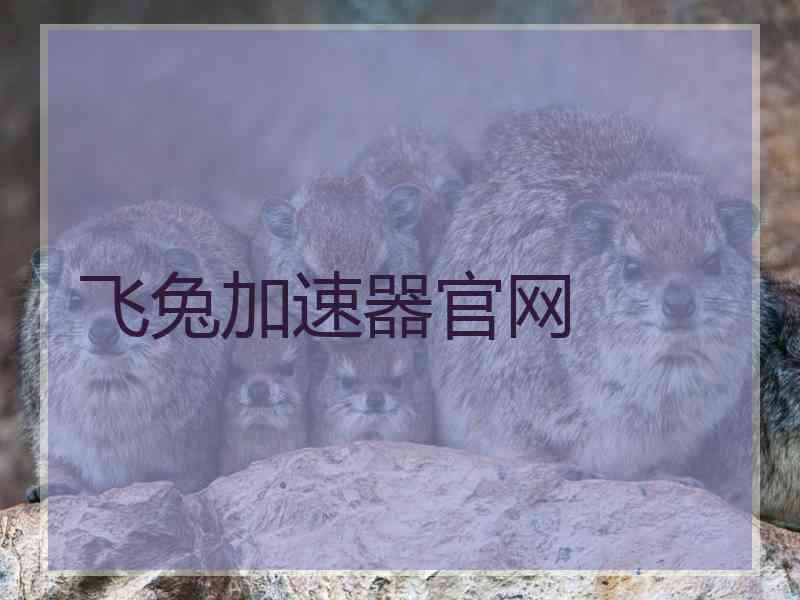 飞兔加速器官网