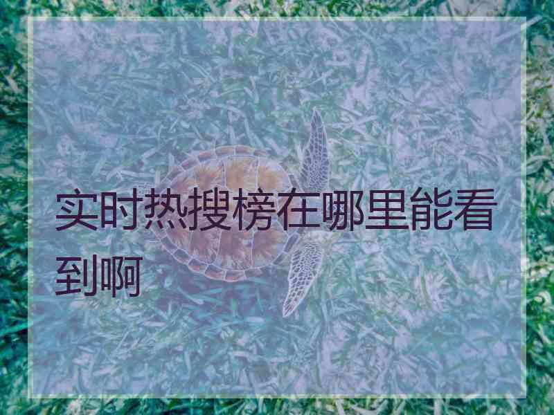 实时热搜榜在哪里能看到啊