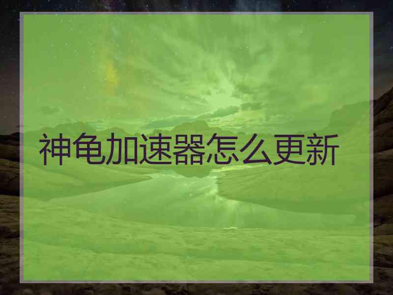 神龟加速器怎么更新