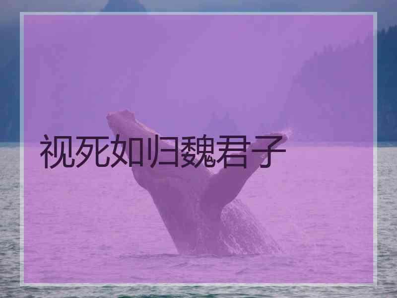 视死如归魏君子