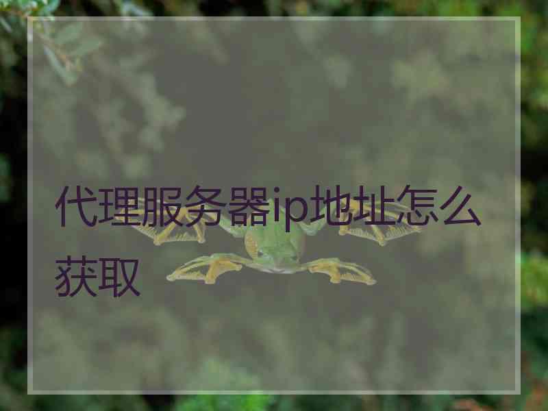 代理服务器ip地址怎么获取