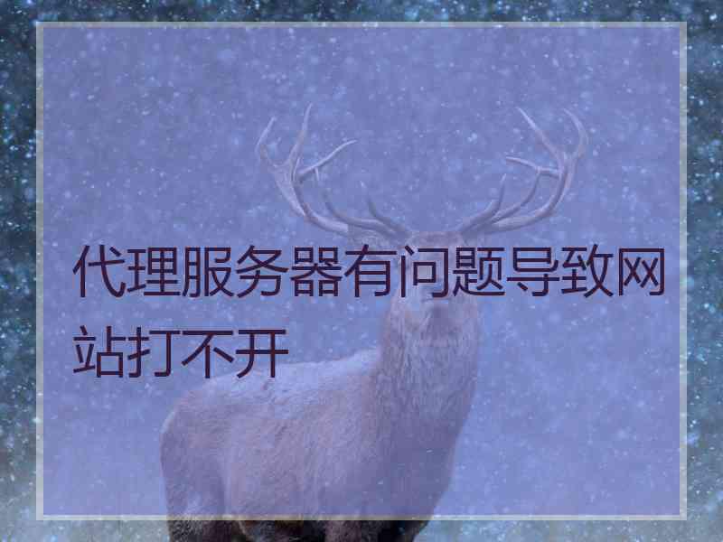 代理服务器有问题导致网站打不开