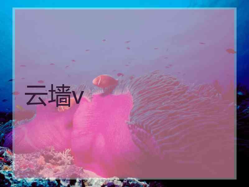 云墙v