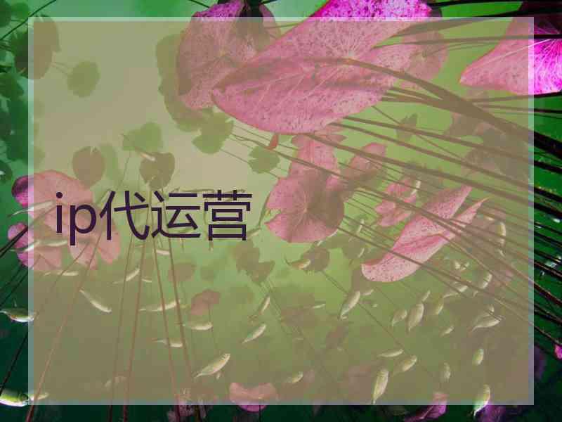 ip代运营