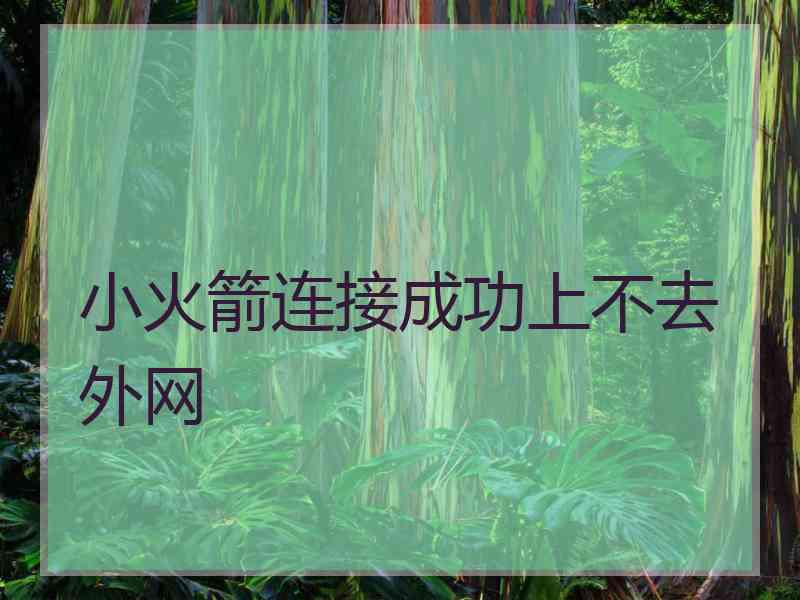 小火箭连接成功上不去外网