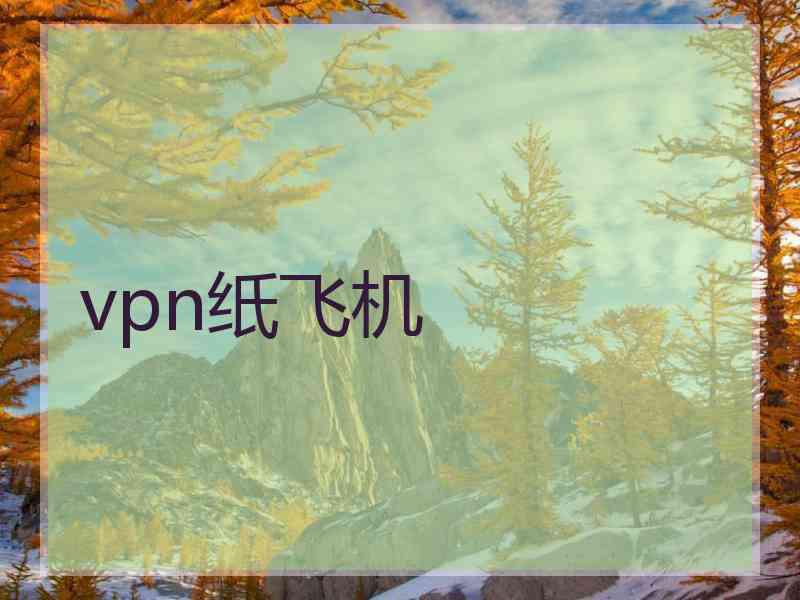 vpn纸飞机
