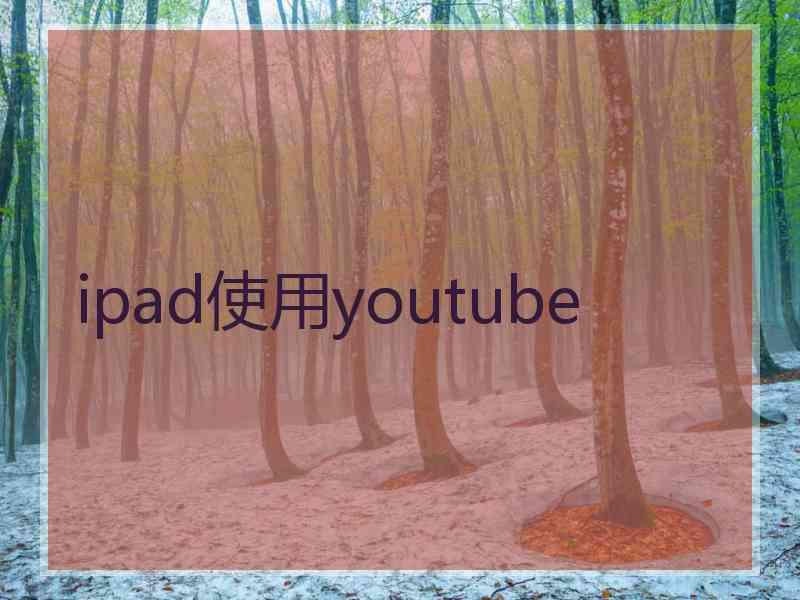 ipad使用youtube